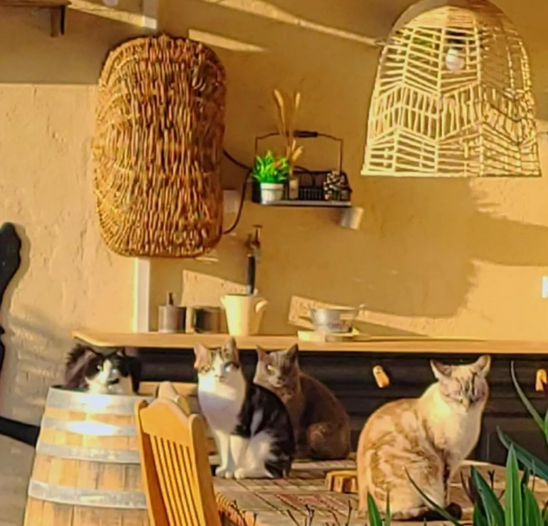 Bed & Breakfast Le Qg Chez Flo Et David Bed and Breakfast Saint-Julien-Molin-Molette